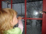 sweet claire checking out the snow